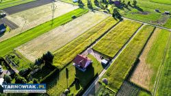 Zagórze- Rożnów-30 ar - Obrazek 3