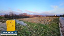 Budowlana- Nowodworze - Obrazek 3