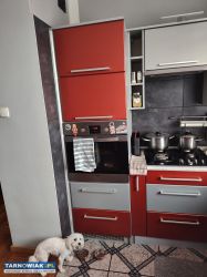 Meble kuchenne z AGD - Obrazek 2