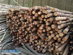 Stemple budowlane - Obrazek 1