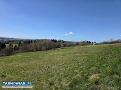 Urokliwa działka z widokiem na Tatry 58 arów  - Obrazek 4
