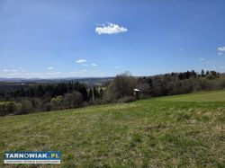 Urokliwa działka z widokiem na Tatry 58 arów  - Obrazek 3