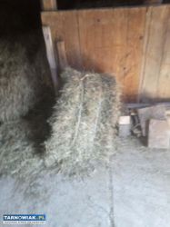 Kostki siana - Obrazek 1