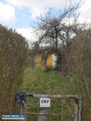 Działka ROD Tamel Piaskówka - Obrazek 1