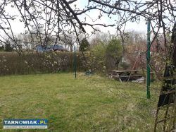 Działka ROD Tamel Piaskówka - Obrazek 2