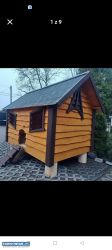 Kurnik domek dla Kurek / WC toalet/ Budy dla piesk - Obrazek 1