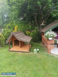 Kurnik domek dla Kurek / WC toalet/ Budy dla piesk - Obrazek 4
