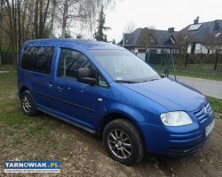 Caddy sdi - Obrazek 2