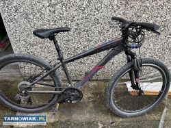 Rower młodzieżowy - Obrazek 1