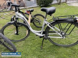 Rower Herkules - Obrazek 2