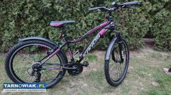 Rower 26 Kands Energy rama 17 cali jak nowy - Obrazek 1