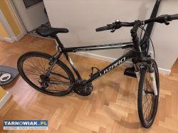 Rower Lazaro Integral V3 (2015) rama 21" - Obrazek 1