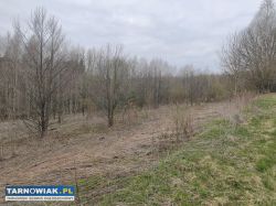 Działka rolna 0.52 ha IV Klasa w spokojnej okolicy - Obrazek 2