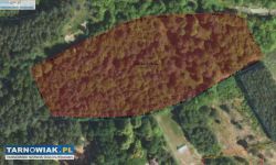 Trzy Działki budowlane w msc Grabiny Głowaczowa - Obrazek 2