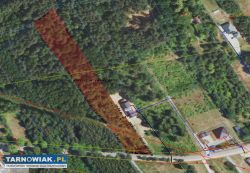 Trzy Działki budowlane w msc Grabiny Głowaczowa - Obrazek 3