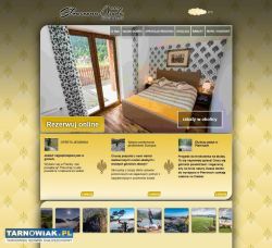 Strony internetowe Domena+Serwer 0zł - Obrazek 2