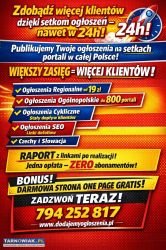 Opublikujemy Twoje ogłoszenie na setkach portali + - Obrazek 1