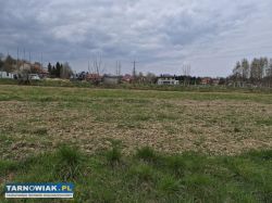 Koszyce Małe, 31 ar - Obrazek 1