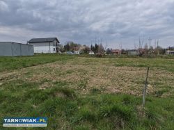 Koszyce Małe, 31 ar - Obrazek 2