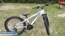 Rower 24 Kands Master alu rama 12 cali bdb stan - Obrazek 1