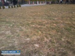 Działka Budowlana Pleśna - Obrazek 1