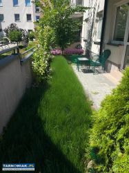Mieszkanie w centrum z ogródkiem - Obrazek 4