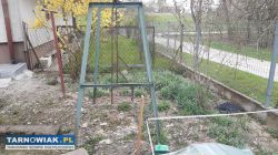 Huśtawka ogrodowa - Obrazek 2