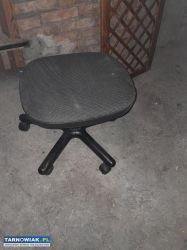 oddam zw darmo - Obrazek 1