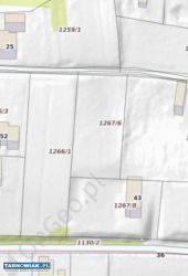 Działka Tuchów - Obrazek 2