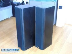 Świetne kolumny stereo Quadral Platin Phonologue E - Obrazek 2