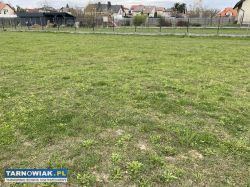 Na sprzedaż 3 działki budowlane Tarnów, Krzyż - Obrazek 2