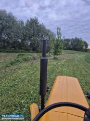 Koszenie nieużytków działek - Obrazek 1