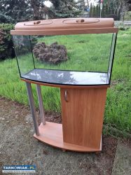 Akwarium plus szafka - Obrazek 1