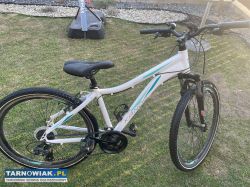 Rower górski Kands - Obrazek 1