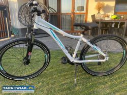 Rower górski Kands - Obrazek 2