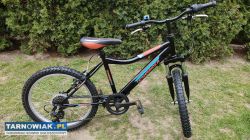 Rower 20 Teamrider rama 14 cali sprawny - Obrazek 1