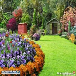 Ziemia ogrodowa - Obrazek 1