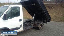 Ziemia ogrodowa - Obrazek 4