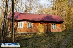 Siedlisko w otulinie lasów w msc. Gwoździec - Obrazek 1