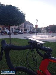 Rower Szosowy Kellys ARC 50 rozmiar L - Obrazek 3