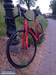 Rower Szosowy Kellys ARC 50 rozmiar L - Obrazek 2