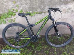 Rower Bergamont Revox rozmiar S - Obrazek 2