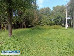 Skrzyszów, 41 ar - Obrazek 4