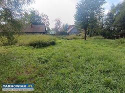 Skrzyszów, 41 ar - Obrazek 3