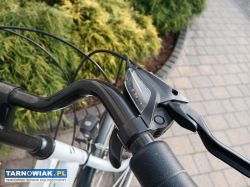 Rower miejski - Obrazek 2