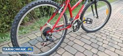 Rower górski Author Unica - Obrazek 4