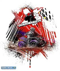 Wprowadzanie danych, allegro , Woocomerce - Obrazek 1