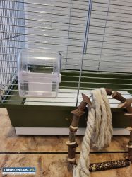 Klatka dla papugi/kanarka - Obrazek 2