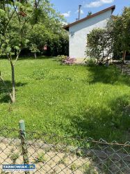 Sprzedam dużą działkę ROD Tarnów Mościce - Obrazek 1