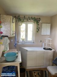 Sprzedam dużą działkę ROD Tarnów Mościce - Obrazek 3